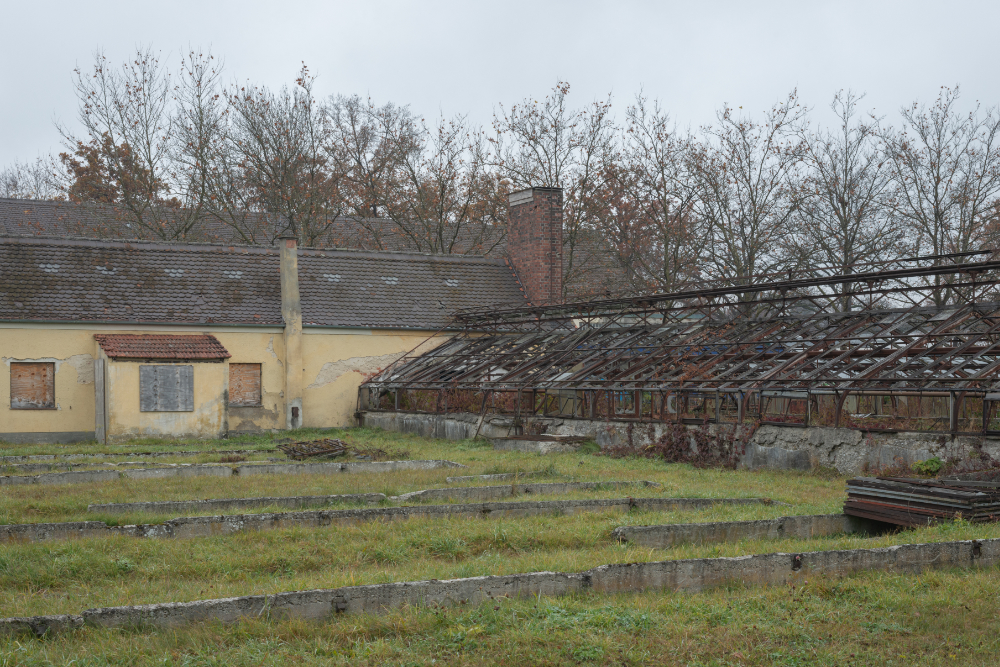Plantation Dachau